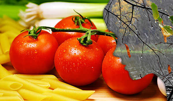 Питание и осенняя депрессия помидоры
